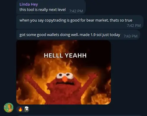 user made 19 solana copytrading with dedge